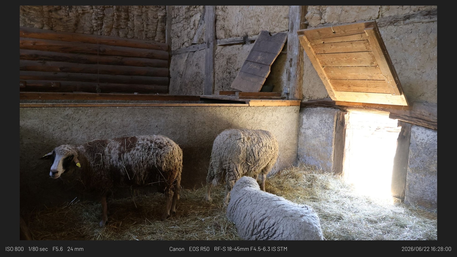 Finished framemodu Lightroom Classic export with frame and metadata treatment