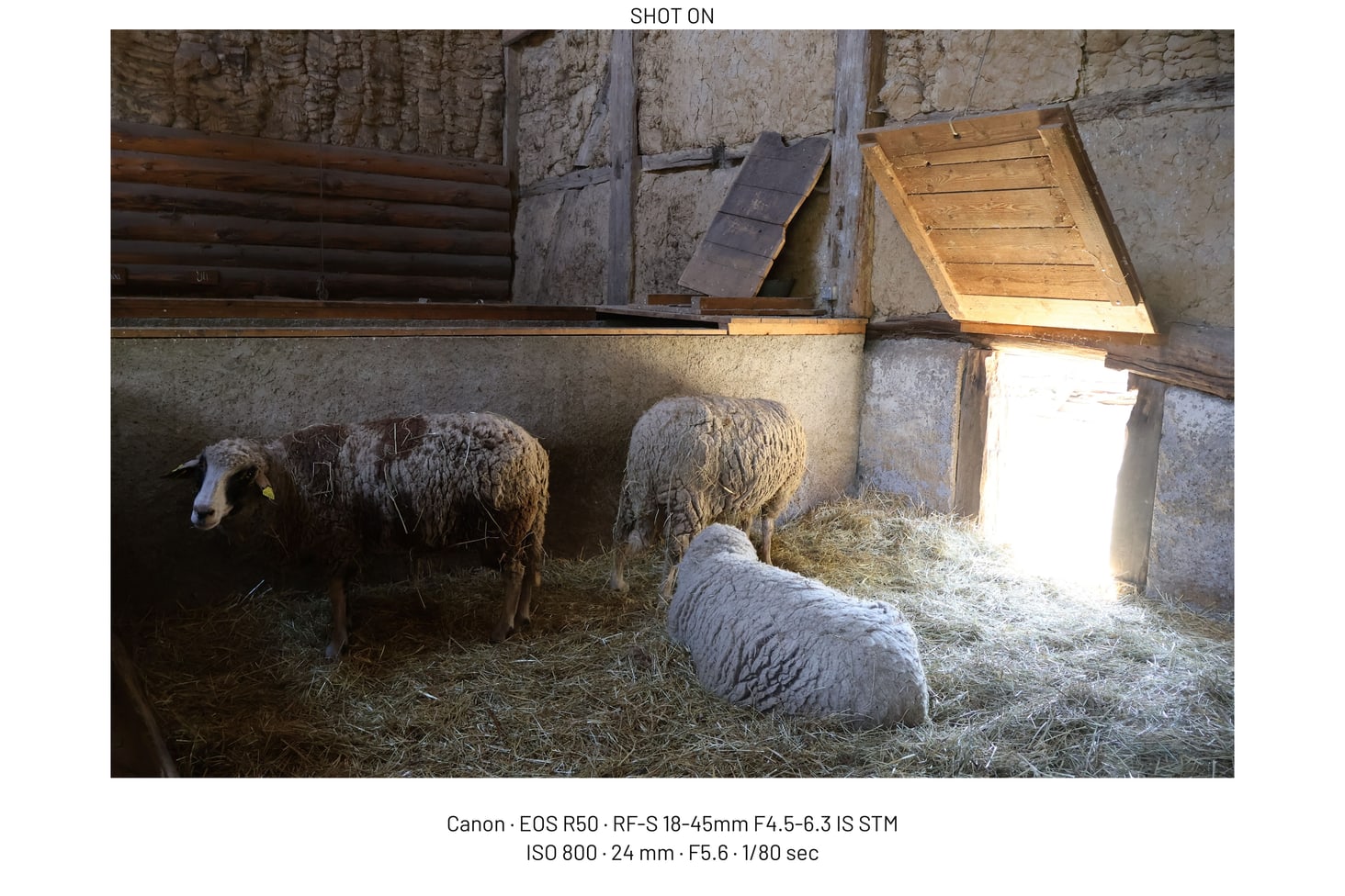 Two-line EXIF caption sample